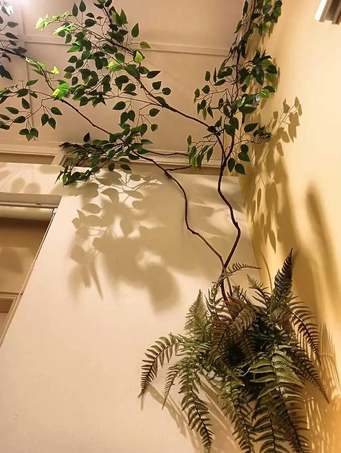 New! 9 Pax Georgetown Heritage Pre-War House 3Br 0*, ג'ורג' טאון מלזיה